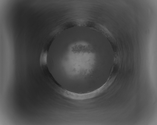 X0000100940047200806241437