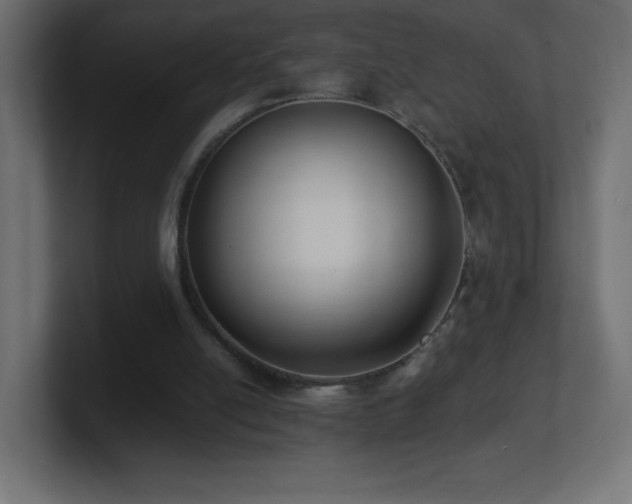 X0000100940054200806241436