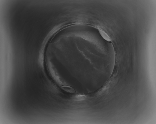 X0000100940055200806241436