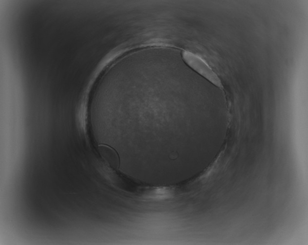 X0000100940056200806241436
