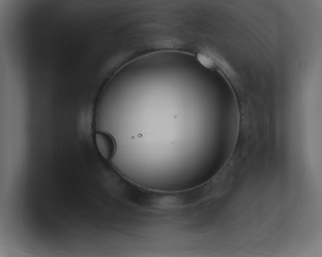 X0000100940058200806241436