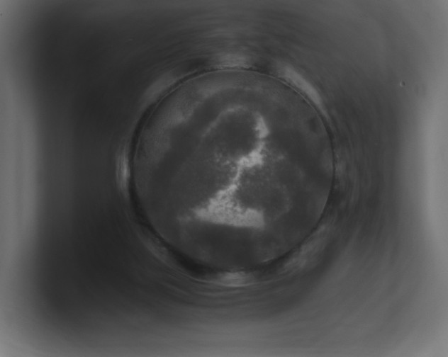 X0000100940059200806241436