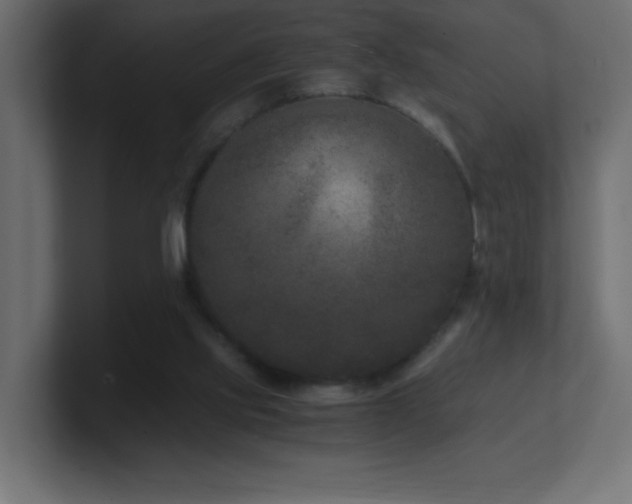 X0000100940061200806241436