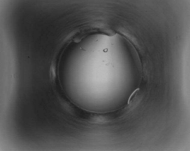 X0000100940062200806241436