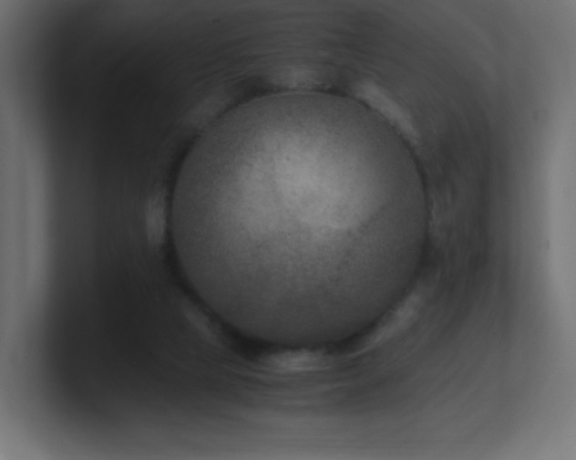 X0000100940065200806241436