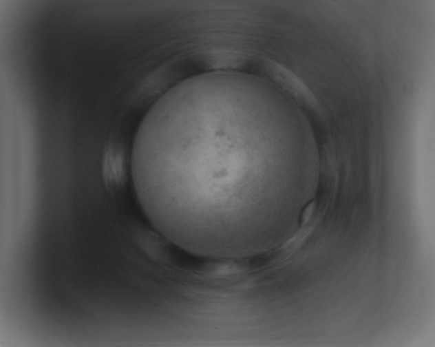 X0000100940074200806241436