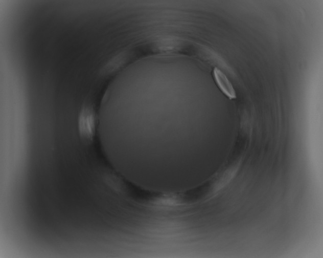 X0000100940076200806241436