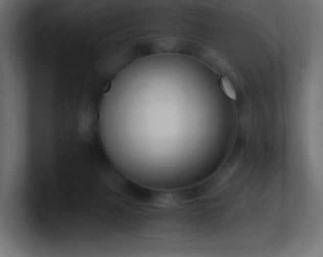 X0000100940079200806241436