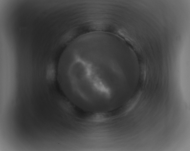 X0000100940080200806241437