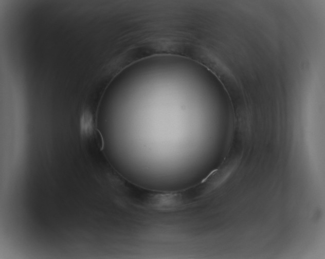 X0000100940089200806241437