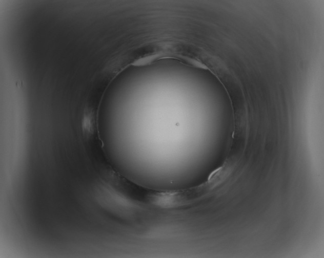 X0000100940090200806241437