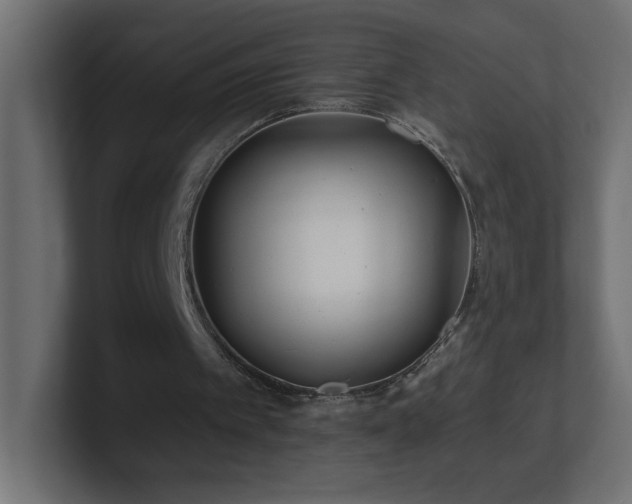 X0000100940097200806241436