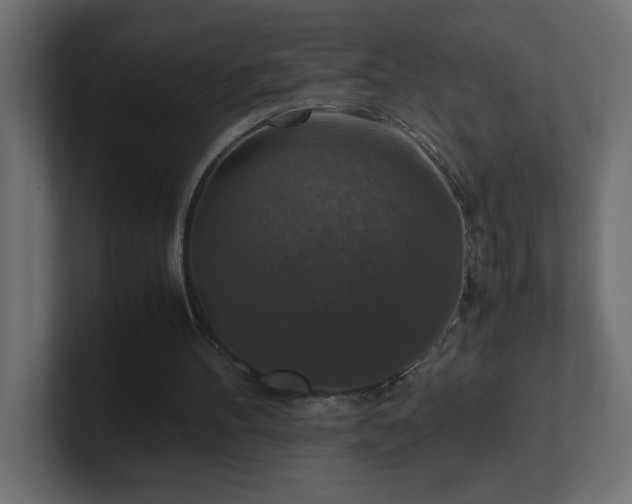 X0000100940100200806241436