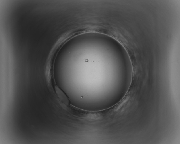 X0000100940101200806241436
