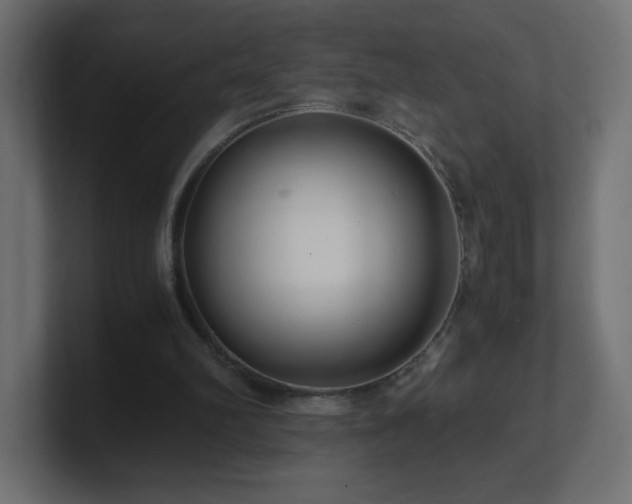 X0000100940102200806241436