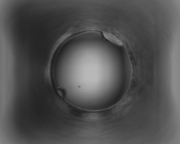 X0000100940104200806241436