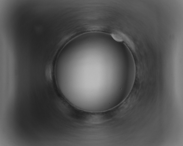 X0000100940107200806241436