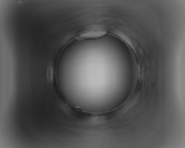 X0000100940109200806241436