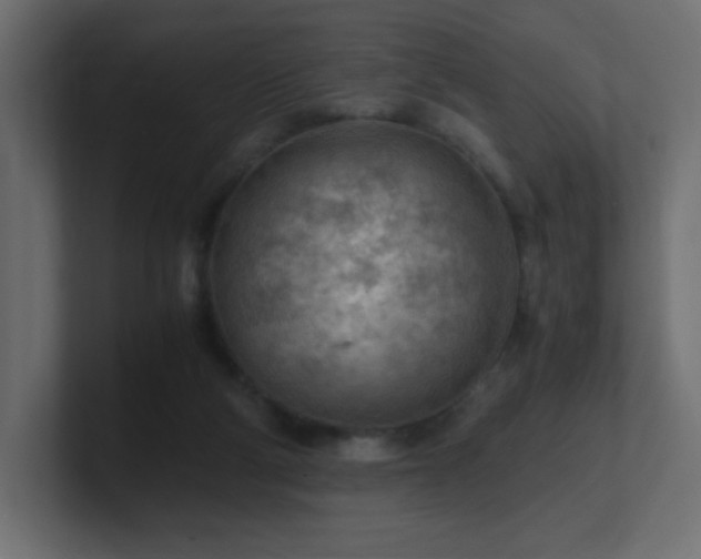 X0000100940114200806241436