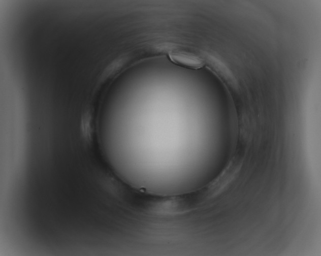 X0000100940116200806241436