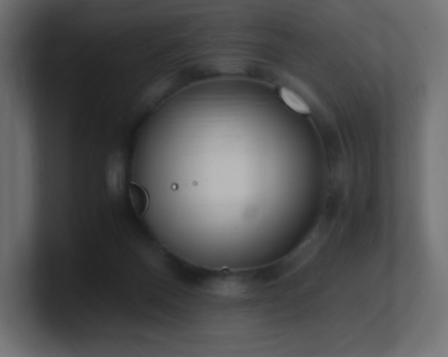 X0000100940120200806241436