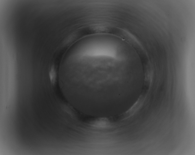 X0000100940124200806241436