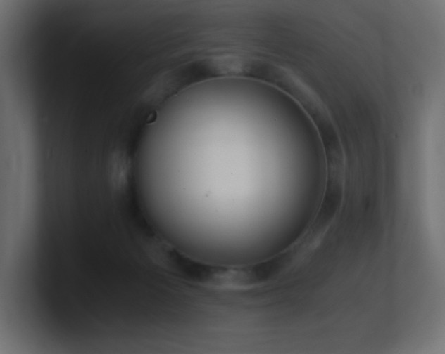 X0000100940125200806241436