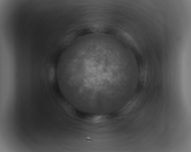 X0000100940130200806241436