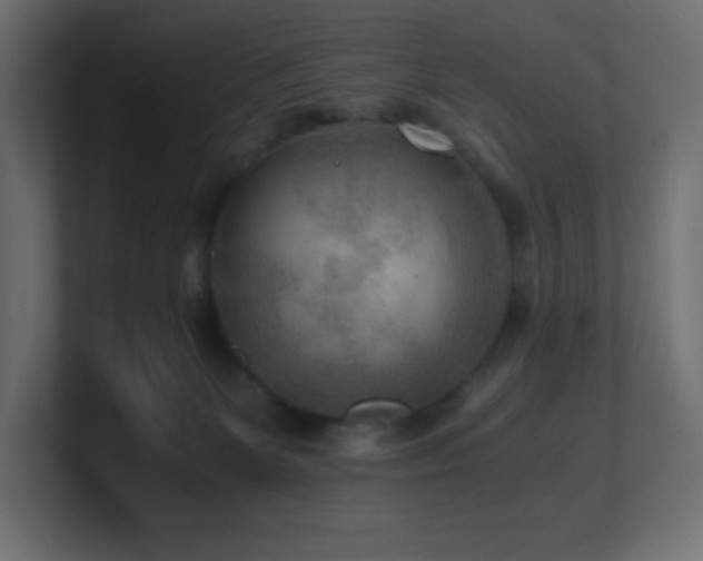 X0000100940131200806241436