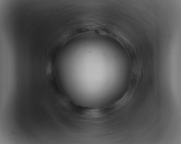 X0000100940132200806241436