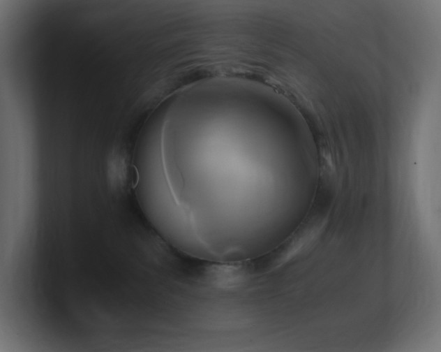 X0000100940139200806241435