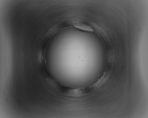 X0000100940140200806241435