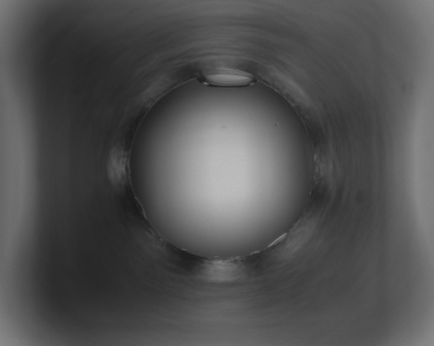 X0000100940141200806241435
