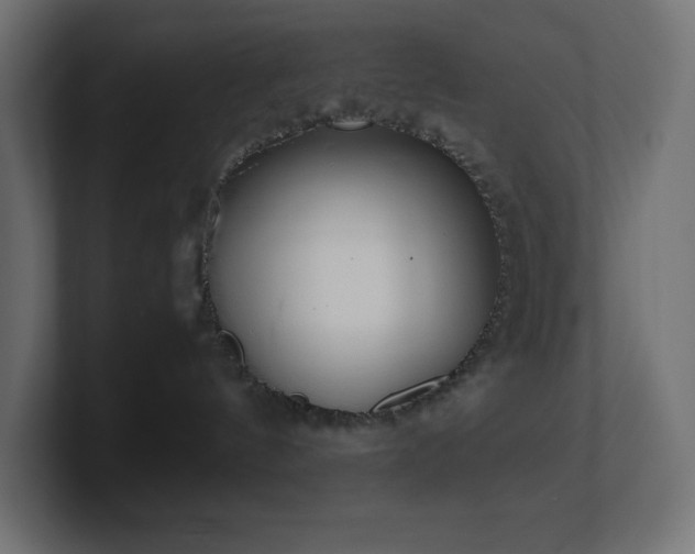 X0000100940144200806241435
