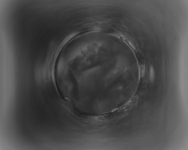 X0000100940147200806241435