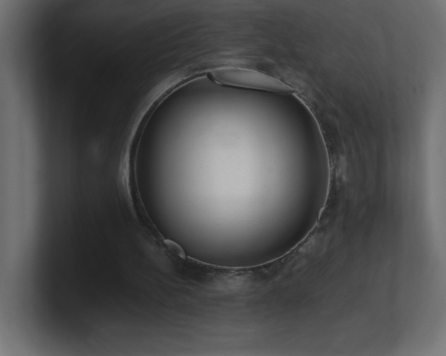 X0000100940148200806241435