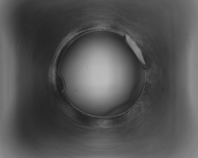 X0000100940152200806241435