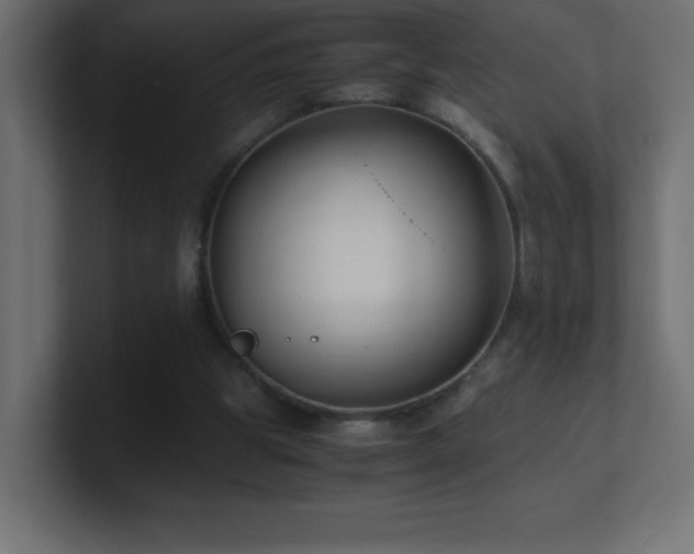 X0000100940153200806241435