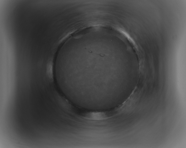 X0000100940154200806241435