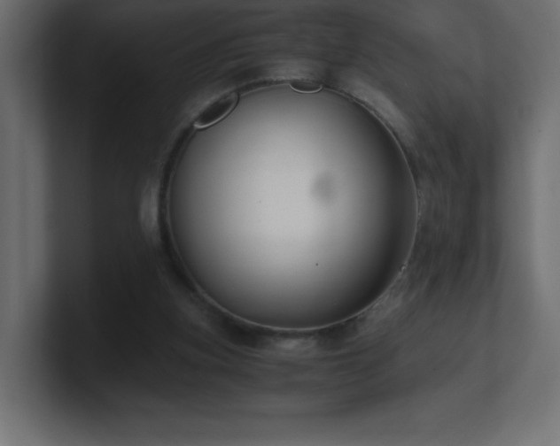 X0000100940155200806241435
