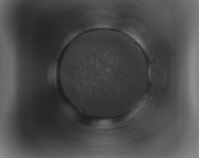X0000100940156200806241435