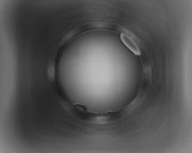 X0000100940158200806241435