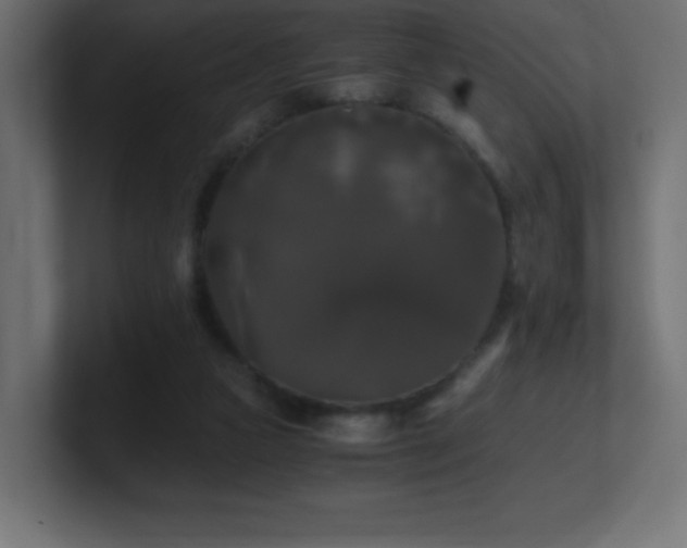 X0000100940161200806241435