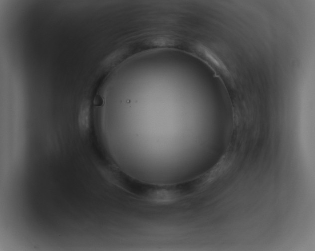 X0000100940163200806241435