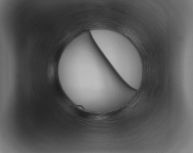 X0000100940165200806241435