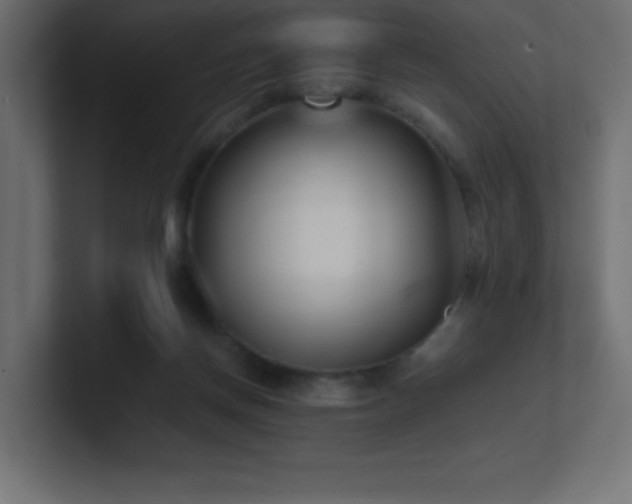 X0000100940166200806241435
