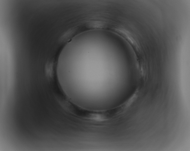 X0000100940167200806241435