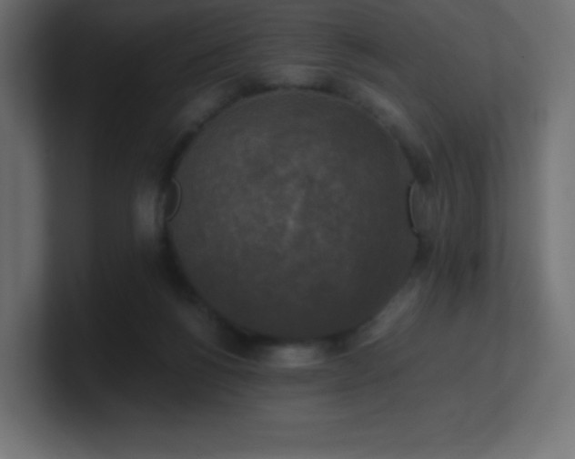 X0000100940168200806241435