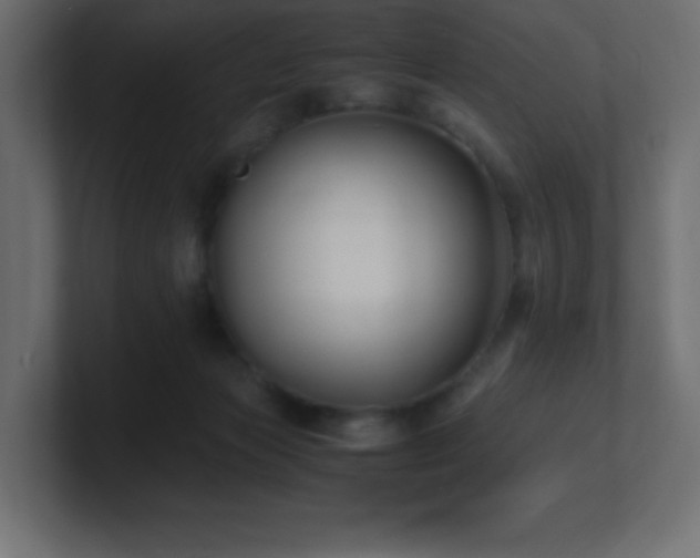 X0000100940173200806241435