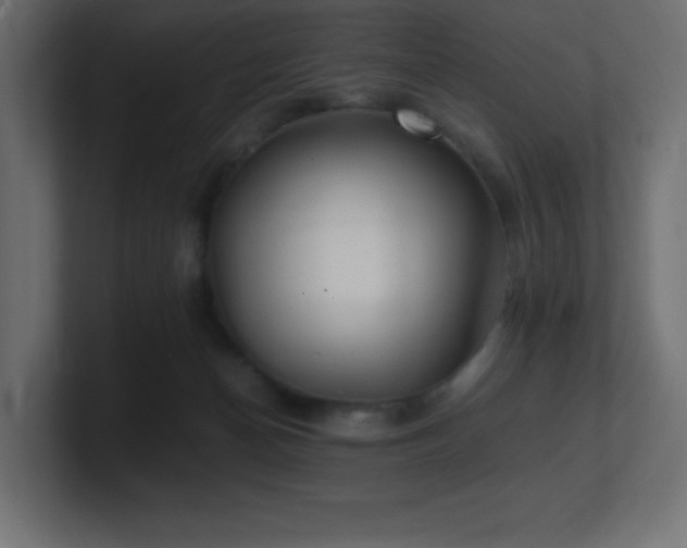 X0000100940174200806241435